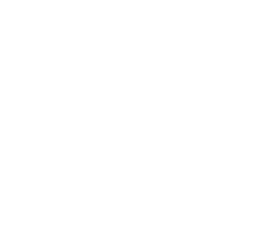 Anue Icon